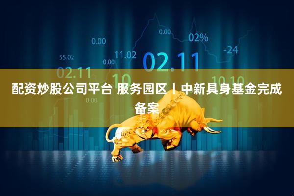 配资炒股公司平台 服务园区丨中新具身基金完成备案