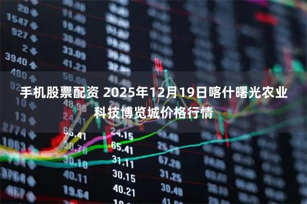 手机股票配资 2025年12月19日喀什曙光农业科技博览城价格行情